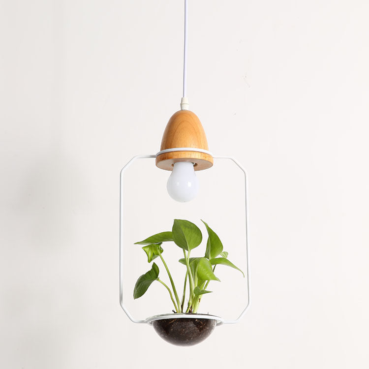 Plant Chandelier