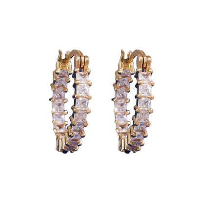 Fine Zircon-embedded Earrings Women's Simple Design